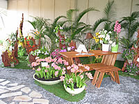 5º Festival de Flores e Plantas de Embu celebra a primavera