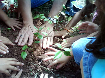 Meio ambiente e educação juntos no Jardim Magali