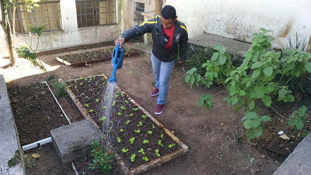 Cras Centro cria horta comunitária