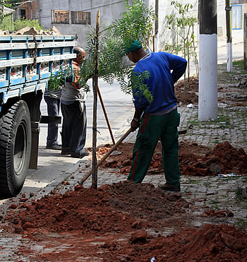 Prefeitura implanta projeto Floresta Urbana no Jardim São Francisco