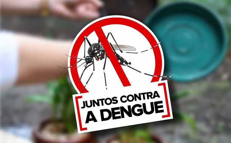 Todos no combate ao mosquito Aedes aegypti