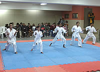 Embu das Artes recebe o Festival Intercontinental de Taekwondo