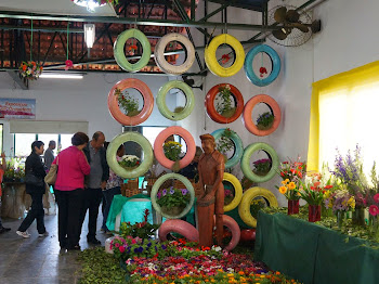 Festival de Flores atrai 12 mil visitantes