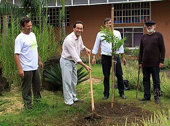 Plantio de pau-brasil abre Natal Verde de Embu