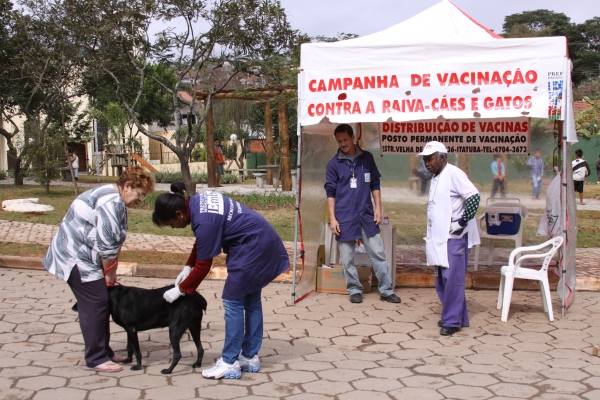 Vacinação de cães e gatos começa dia 6 de agosto