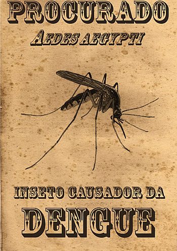 Roteiro doméstico de combate ao mosquito