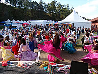 Embu encerra 4º Festival de Flores com dia lindo e muito público