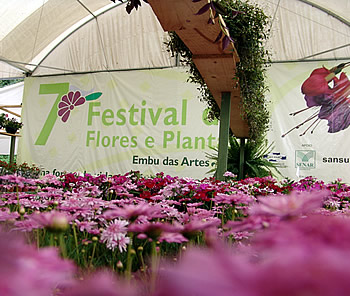 Encerrado o 7º Festival de Flores