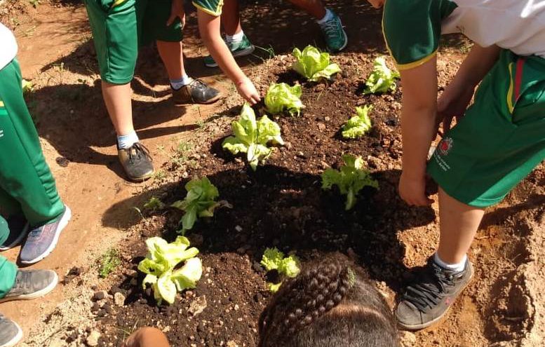 Ação de educação nutricional na E.M. Villa Lobos