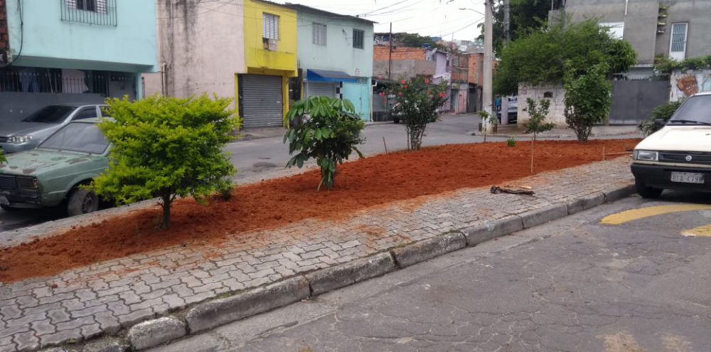 Cidade realiza plantio espontâneo de árvores pelo “Município VerdeAzul”