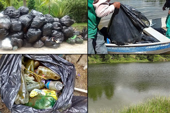 Prefeitura retira centenas de garrafas pet e lixo do lago do Pq. Rizzo