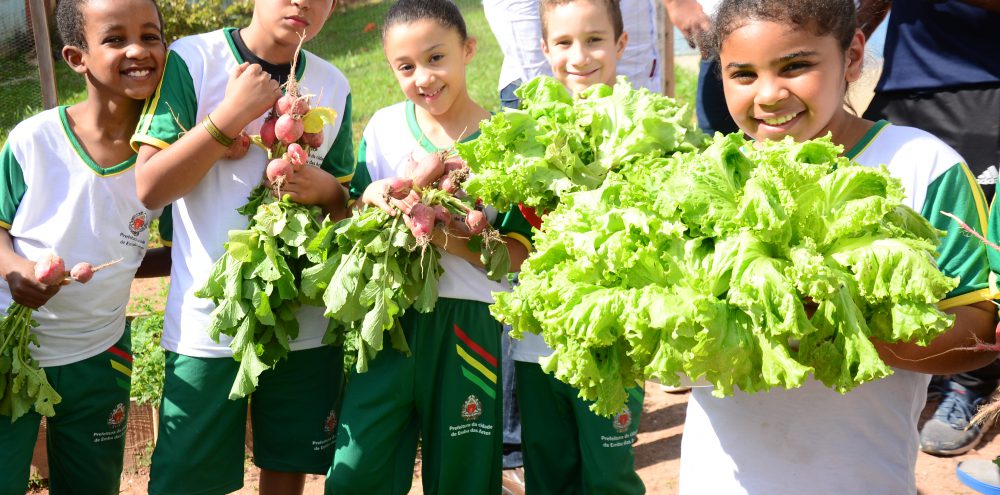 Alunos da E.M. Amilton Suga Galego fazem segunda colheita em horta educativa