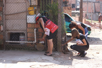 Possibilitar a criação do Aedes aegypti pode gerar multa de até 3 mil reais