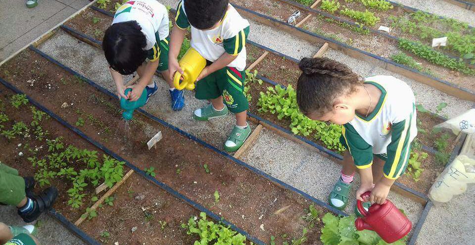 Creche Florestan Fernandes estimula alimentação saudável com horta educativa