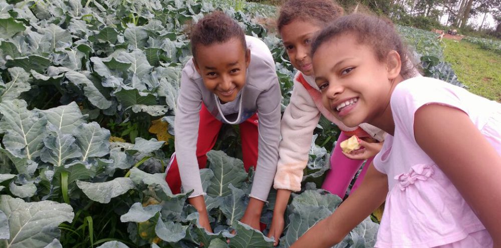 Comemoração do Dia Mundial da Alimentação