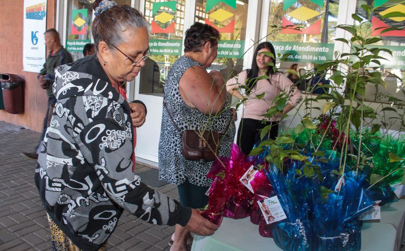 Mães recebem mudas de plantas na prefeitura