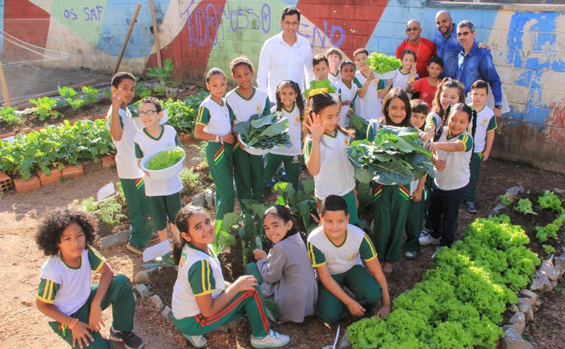 Alunos fazem primeira colheita do ano em horta educativa