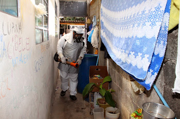 CCZ realiza nebulização contra a dengue