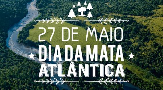 Dia da Mata Atlântica (27/5); data exalta preservação desse importante bioma