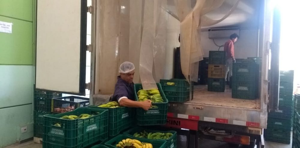 Desenvolvimento Social recebe alimentos das comunidades quilombolas do Vale do Ribeira