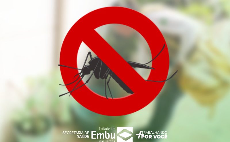 Dengue: vamos nos manter em alerta, o mosquito não tira férias