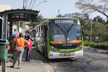 Ônibus municipais terão nova cor em todas as linhas