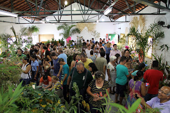 Festival de Plantas atrai mais de 45 mil a Embu das Artes