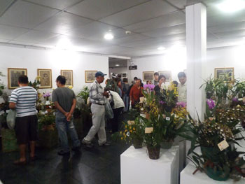 Festival de Flores e Plantas 2014