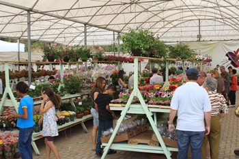 Vem aí o 10º Festival de Flores e a 4ª Feira de Móveis Artesanais de Embu das Artes