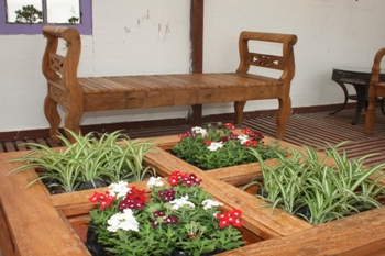 Festival de Flores e Plantas e Feira de Móveis Artesanais continuam esse fim de semana