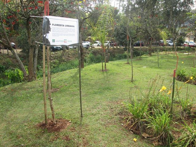 Embu das Artes tem piloto de floresta urbana