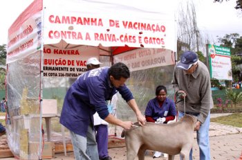 Vacinação contra a raiva animal continua em postos móveis