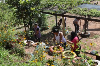 Mutirão reúne servidores e comunidade em prol de uma escola mais verde