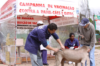 Embu das Artes promove vacinação contra raiva animal