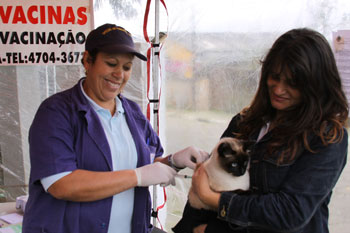 Começa em outubro a vacinação de cães e gatos contra raiva