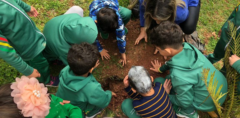 Dia da Árvore: Secretaria de Meio Ambiente realiza ações de plantio com estudantes