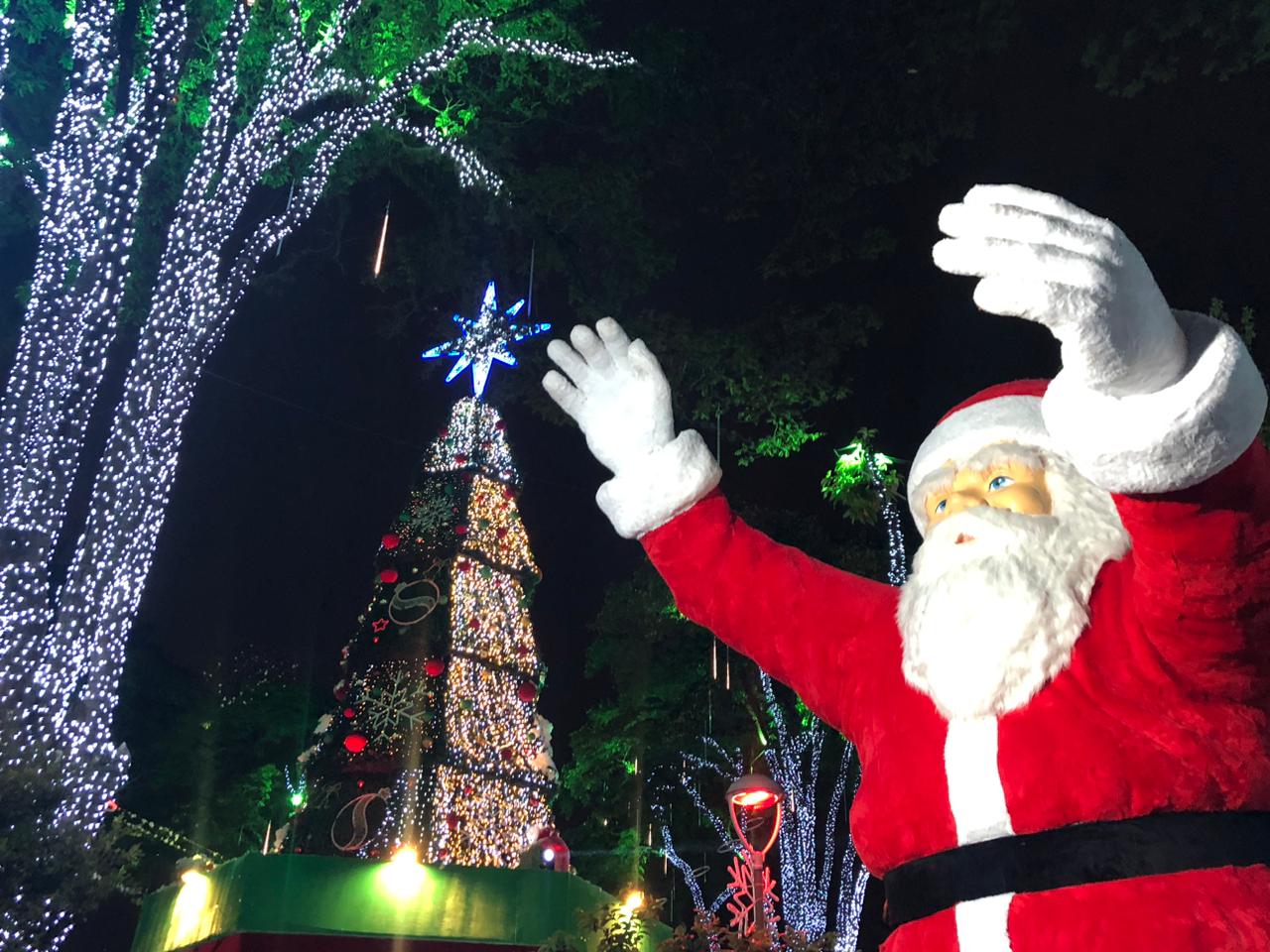 Abertura do Natal Iluminado 2024: a magia começou